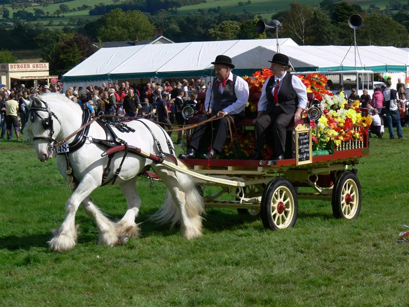 Chipping Agricultural Show